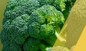 Anti-inflamatórios dieta brócolis