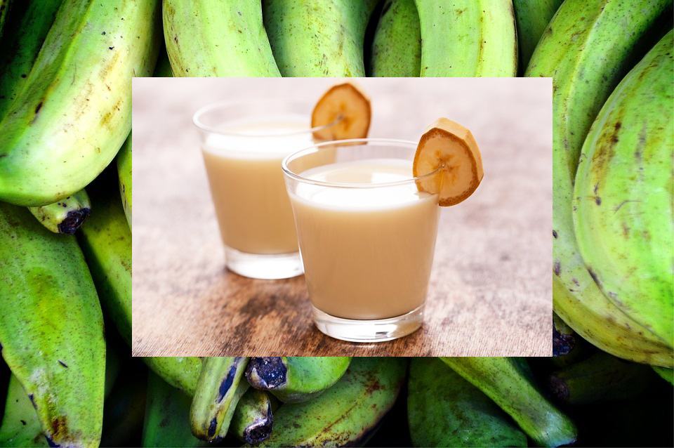 Biomassa de bananan verde